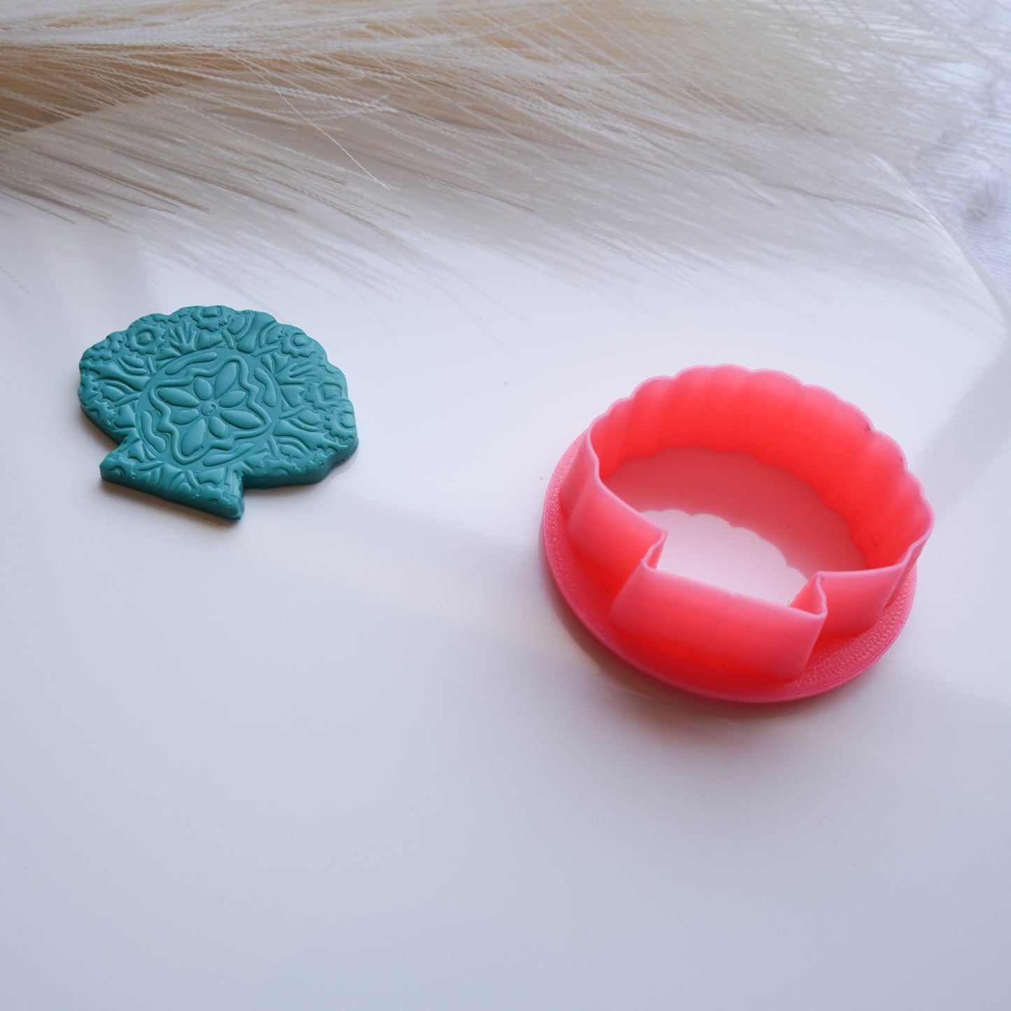 Scallop Shell Clay Cutter